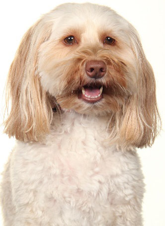 Sadie Wellbeing Support Marra School